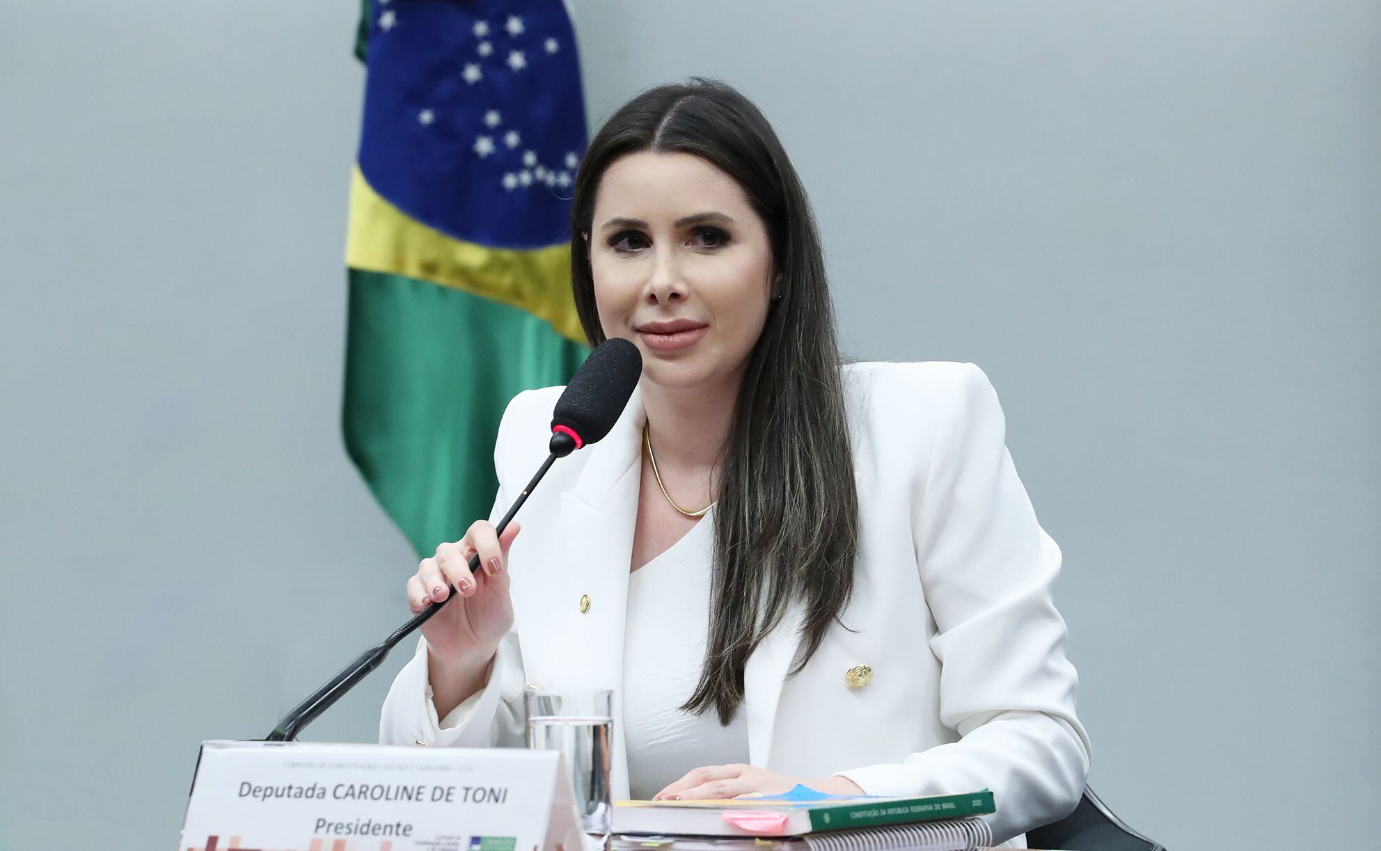 Caroline De Toni é deputada federal pelo PL - Foto Câmara dos Deputados