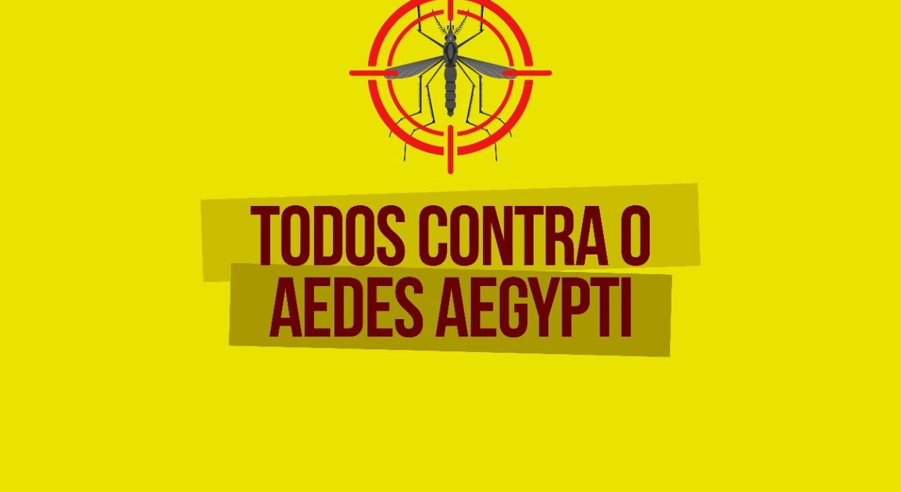 Xanxerê confirma novos casos de dengue e Chikungunya