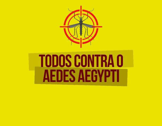 Xanxerê confirma novos casos de dengue e Chikungunya