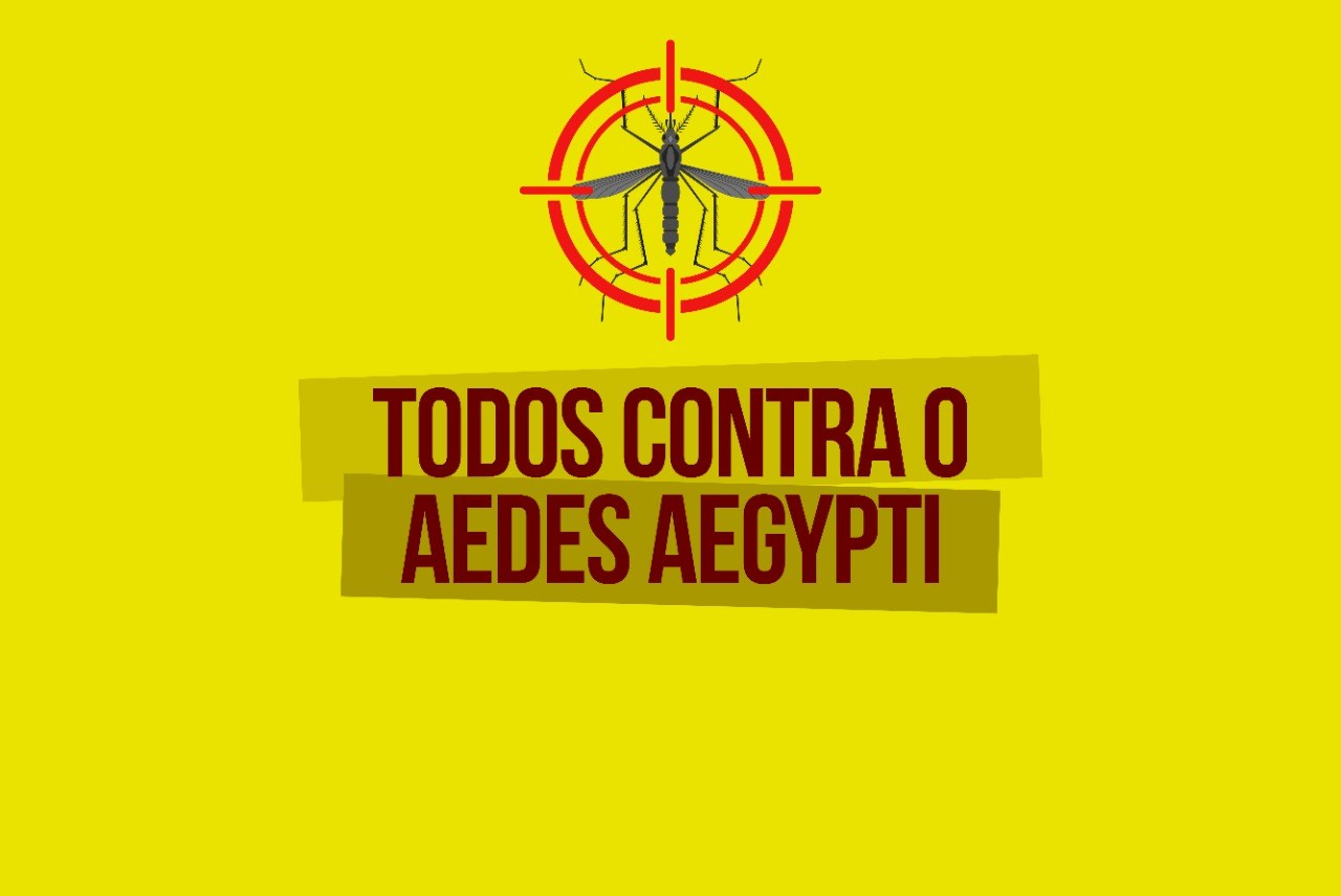 Xanxerê confirma novos casos de dengue e Chikungunya