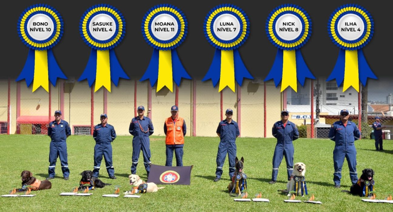 Bombeiros de SC lideram ranking nacional de cães de resgate