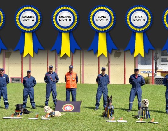 Bombeiros de SC lideram ranking nacional de cães de resgate