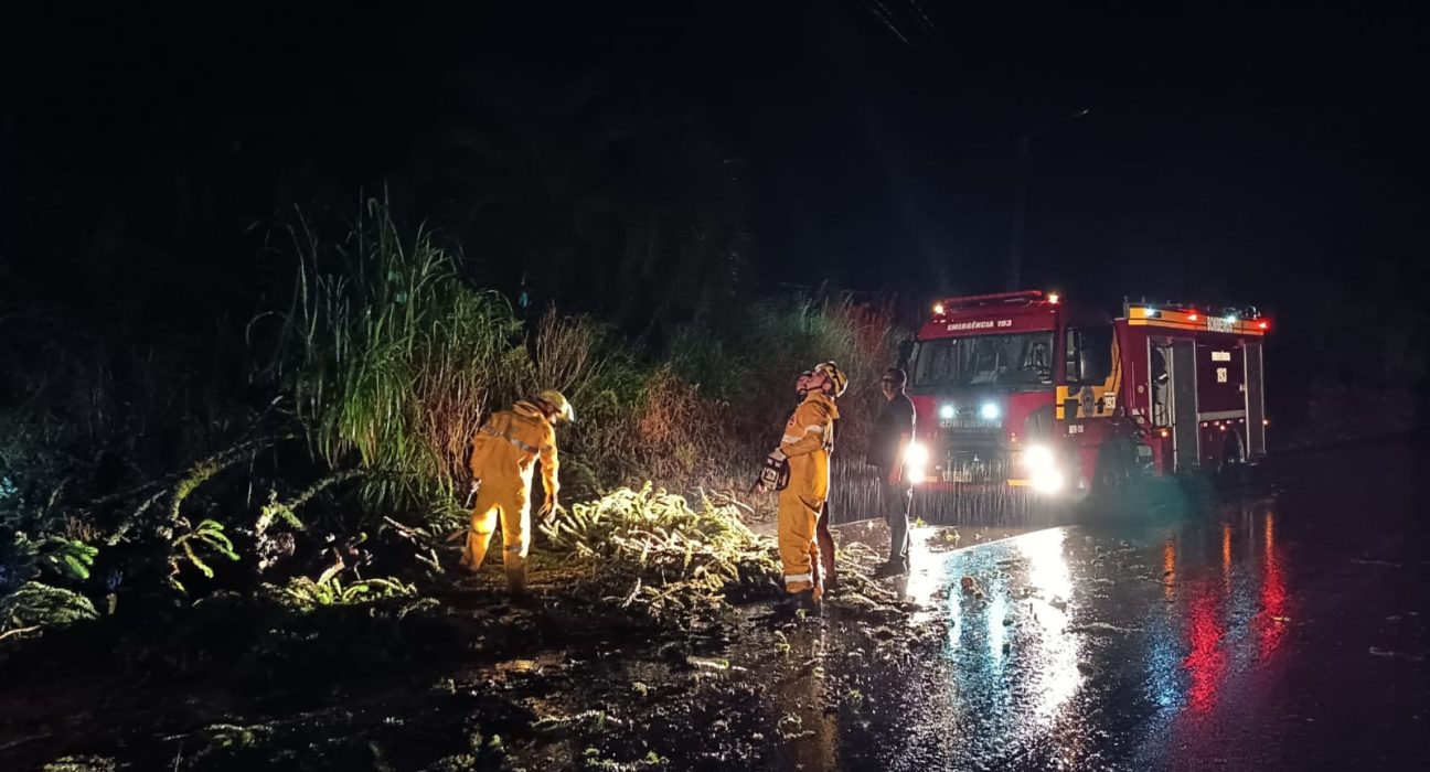Chuva intensa e ventos fortes causam queda de árvores em Galvão e danos em residências no Oeste
