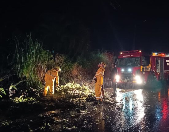 Chuva intensa e ventos fortes causam queda de árvores em Galvão e danos em residências no Oeste
