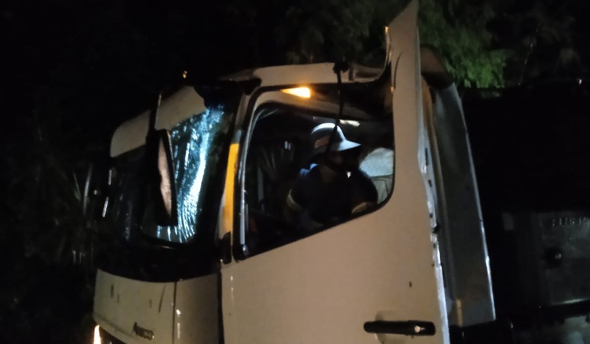 Queda de árvores interdita SC-480 entre São Domingos e Galvão durante temporal