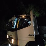 Queda de árvores interdita SC-480 entre São Domingos e Galvão durante temporal