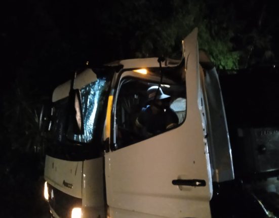 Queda de árvores interdita SC-480 entre São Domingos e Galvão durante temporal