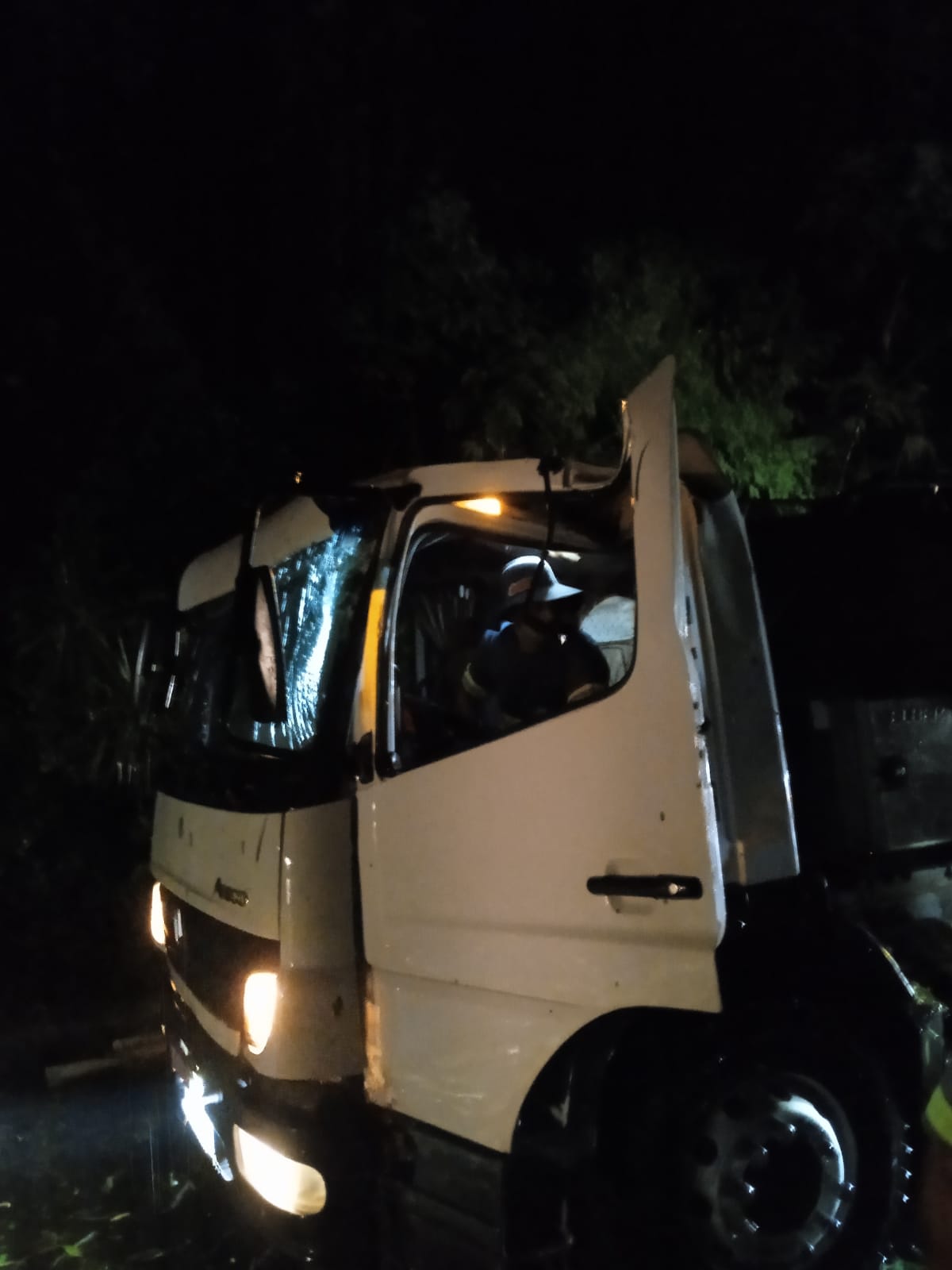 Queda de árvores interdita SC-480 entre São Domingos e Galvão durante temporal