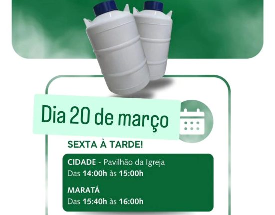 Foto Prefeitura de São Domingos