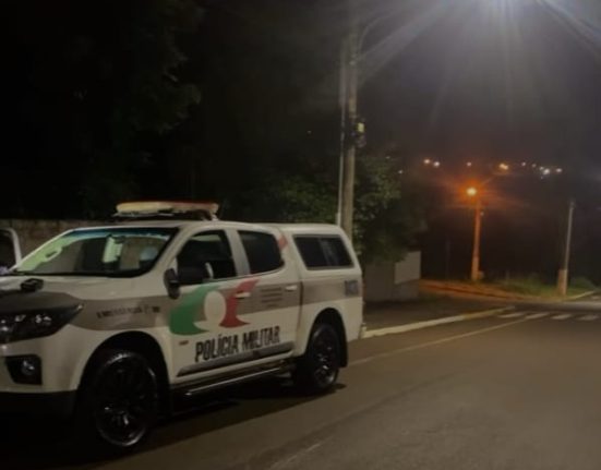 Suspeito é preso após furto em estabelecimento comercial em São Domingos