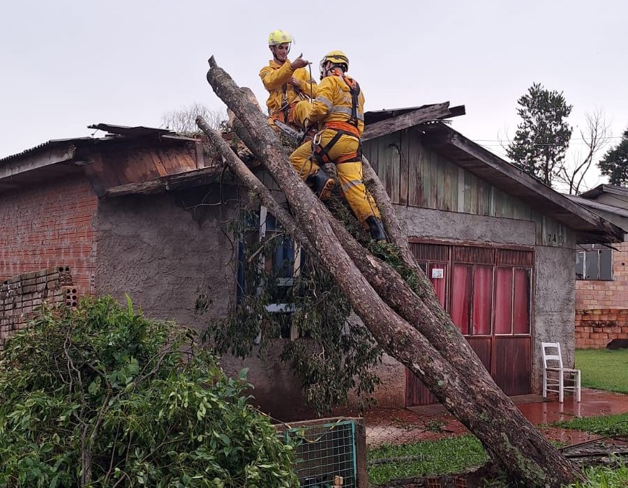 Bombeiros removem árvore que caiu em casa em São Domingos