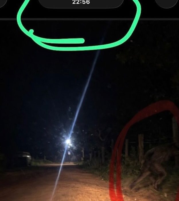 Foto Chapecó Mil Grau Oficial