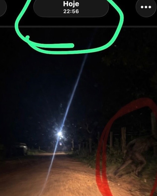 Foto Chapecó Mil Grau Oficial