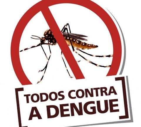 Casos de dengue sobem para 14 em São Domingos