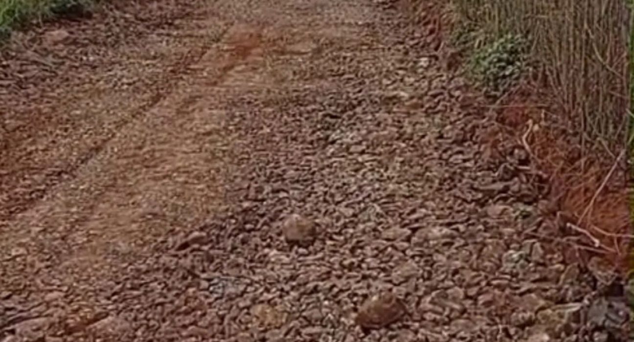 Fotos Prefeitura de São Domingos