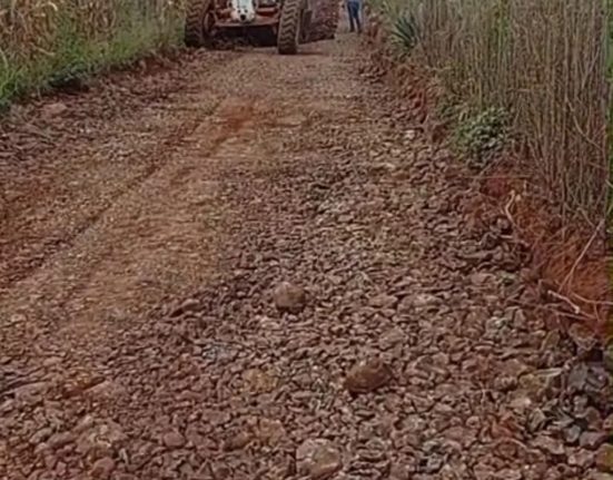Fotos Prefeitura de São Domingos
