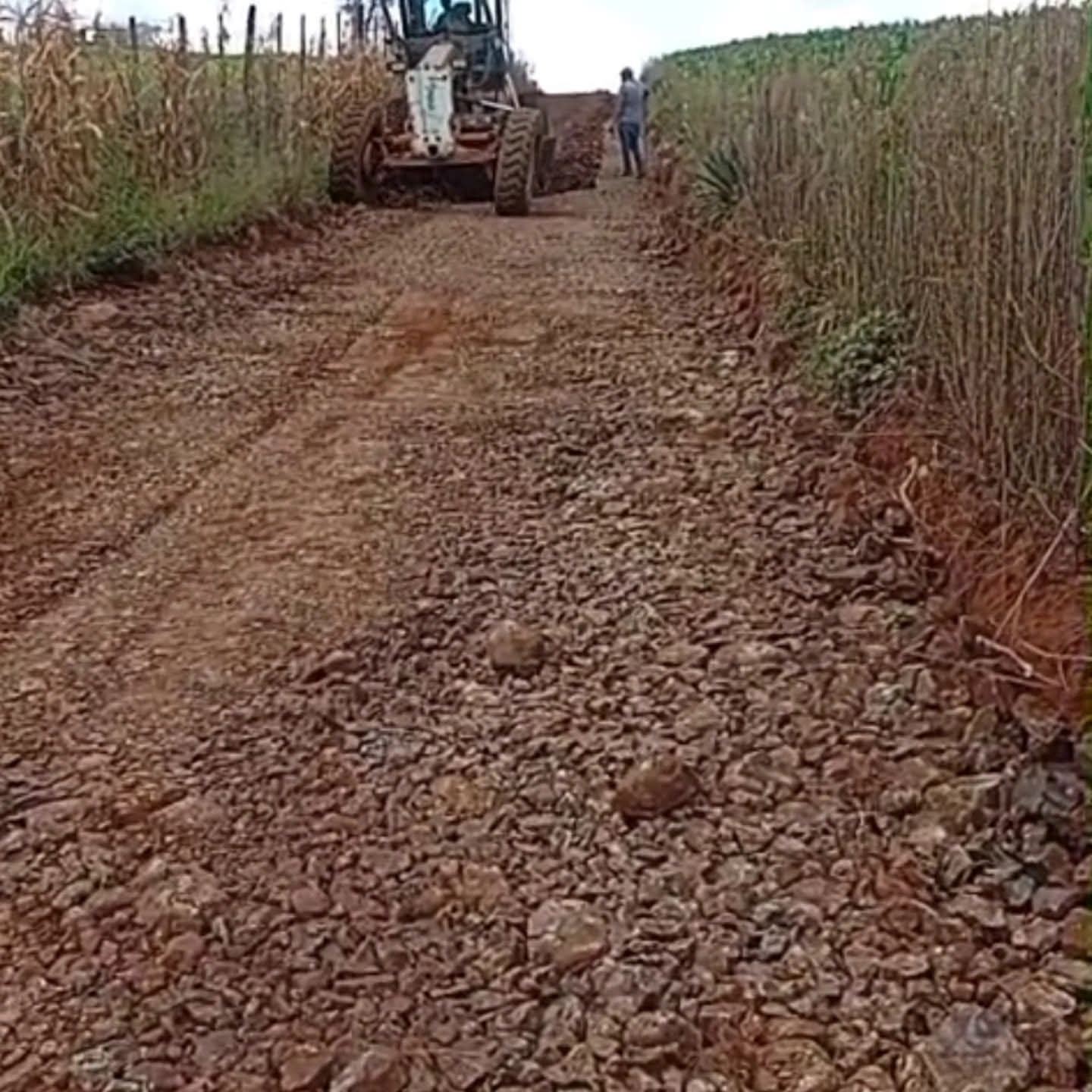 Fotos Prefeitura de São Domingos