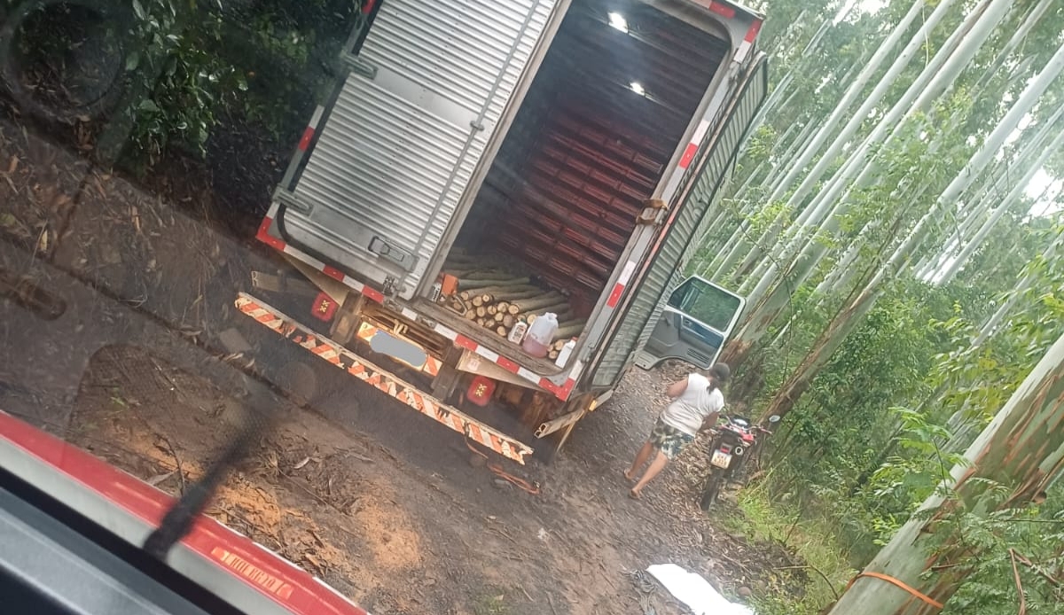 Bombeiros auxiliaram no socorro do motorista - Foto Bombeiros Voluntários