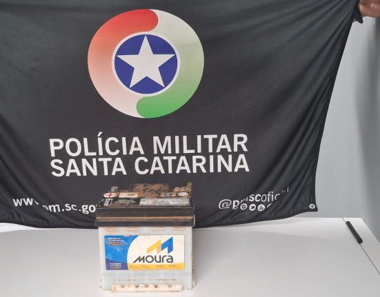 Homem é preso em flagrante por furto em Abelardo Luz
