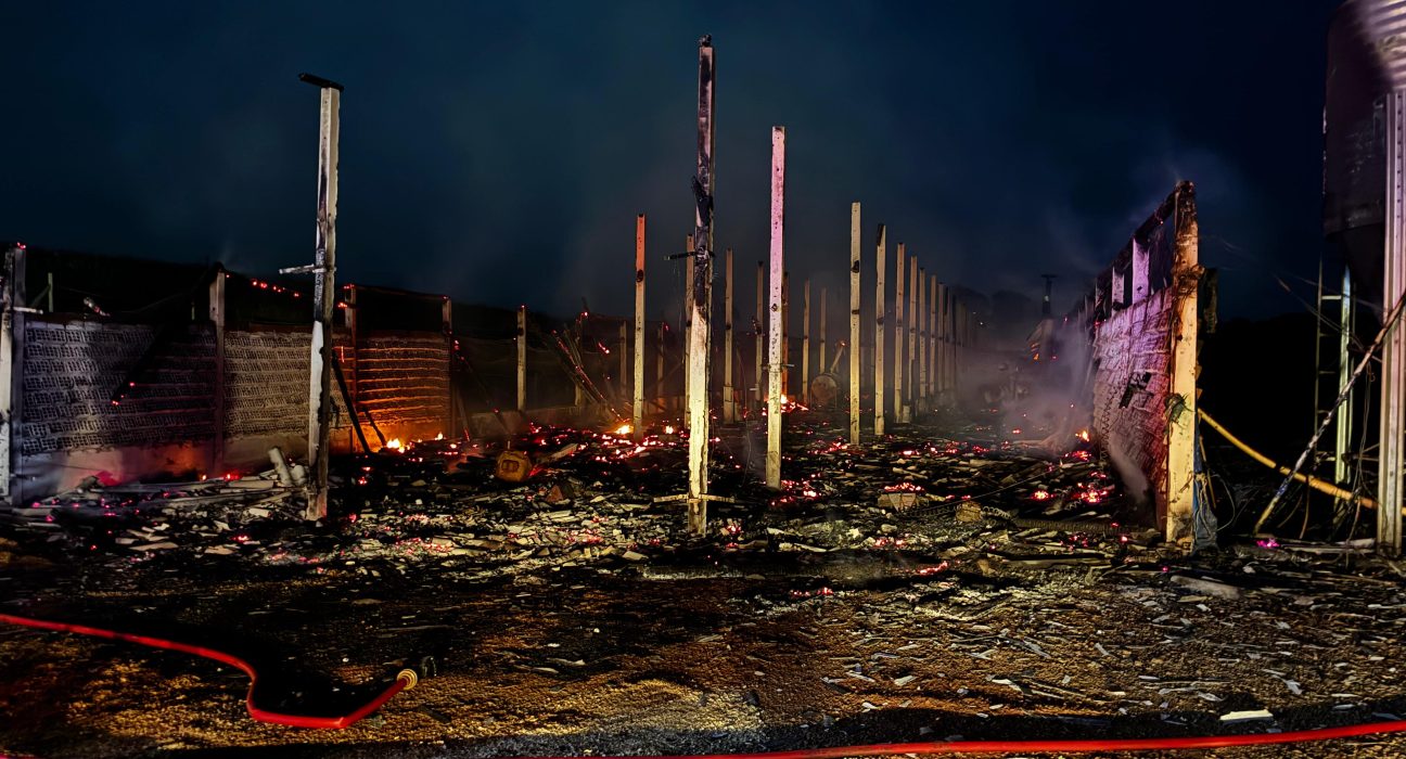 Incêndio atinge aviário no interior de Entre Rios
