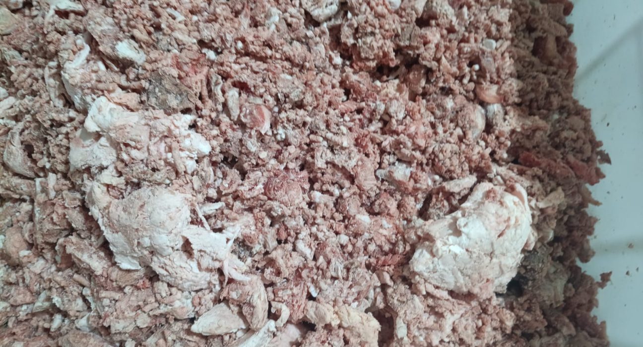 Carnes adulteradas foram encontradas no local - Fotos Polícia Civil