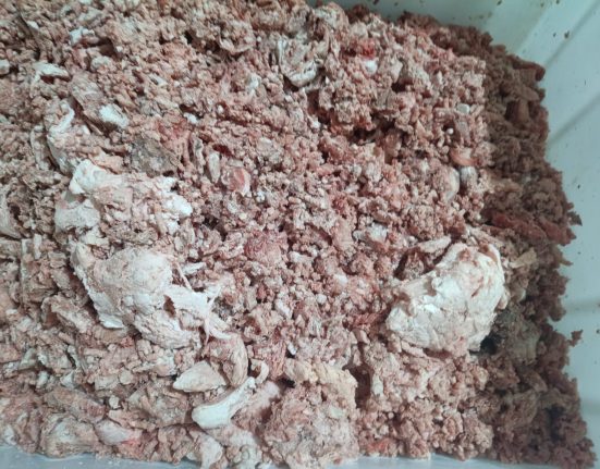 Carnes adulteradas foram encontradas no local - Fotos Polícia Civil