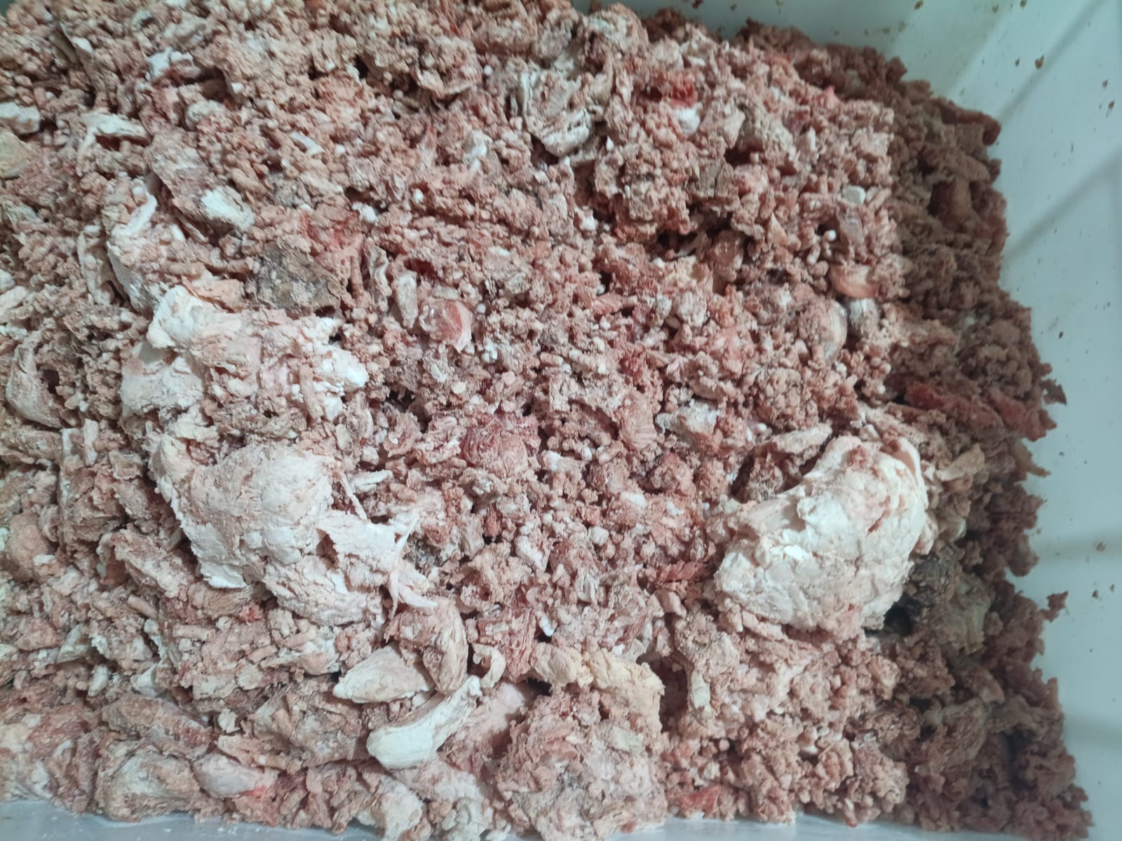Carnes adulteradas foram encontradas no local - Fotos Polícia Civil