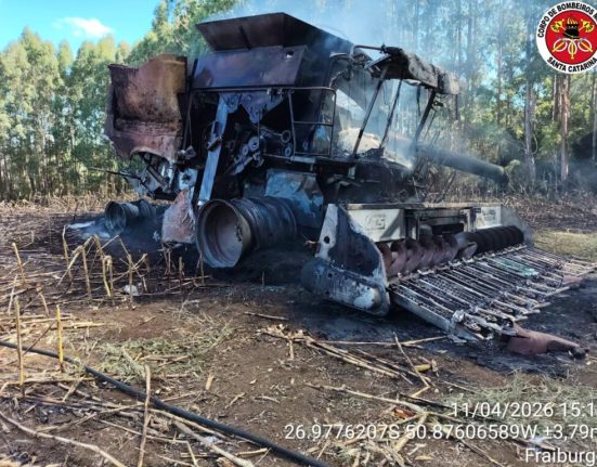 Fogo começou durante a colheita e exigiu ação rápida dos bombeiros para evitar maiores danos à plantação - Fotos Corpo de Bombeiros