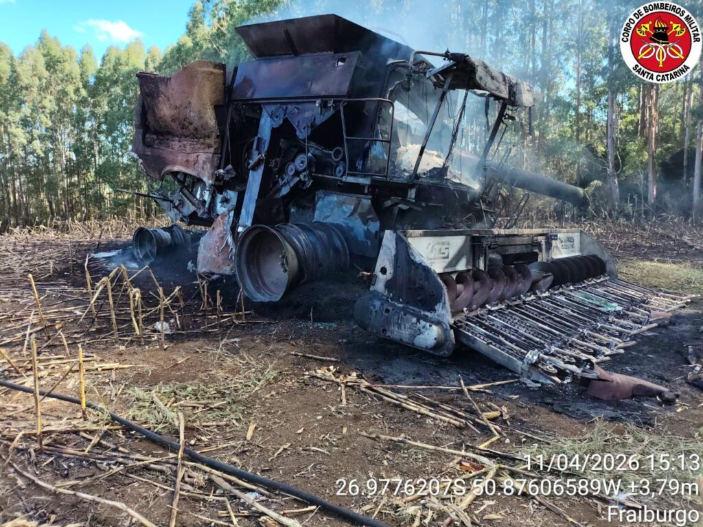 Fogo começou durante a colheita e exigiu ação rápida dos bombeiros para evitar maiores danos à plantação - Fotos Corpo de Bombeiros