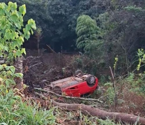 Foto Divulgação Celinauta FM