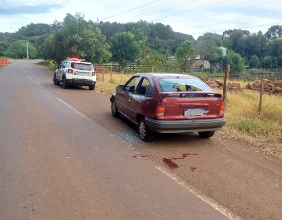 Suspeito de matar mulher em Chapecó é localizado e baleado pela polícia em Galvão, ao tentar fugir - foto PM