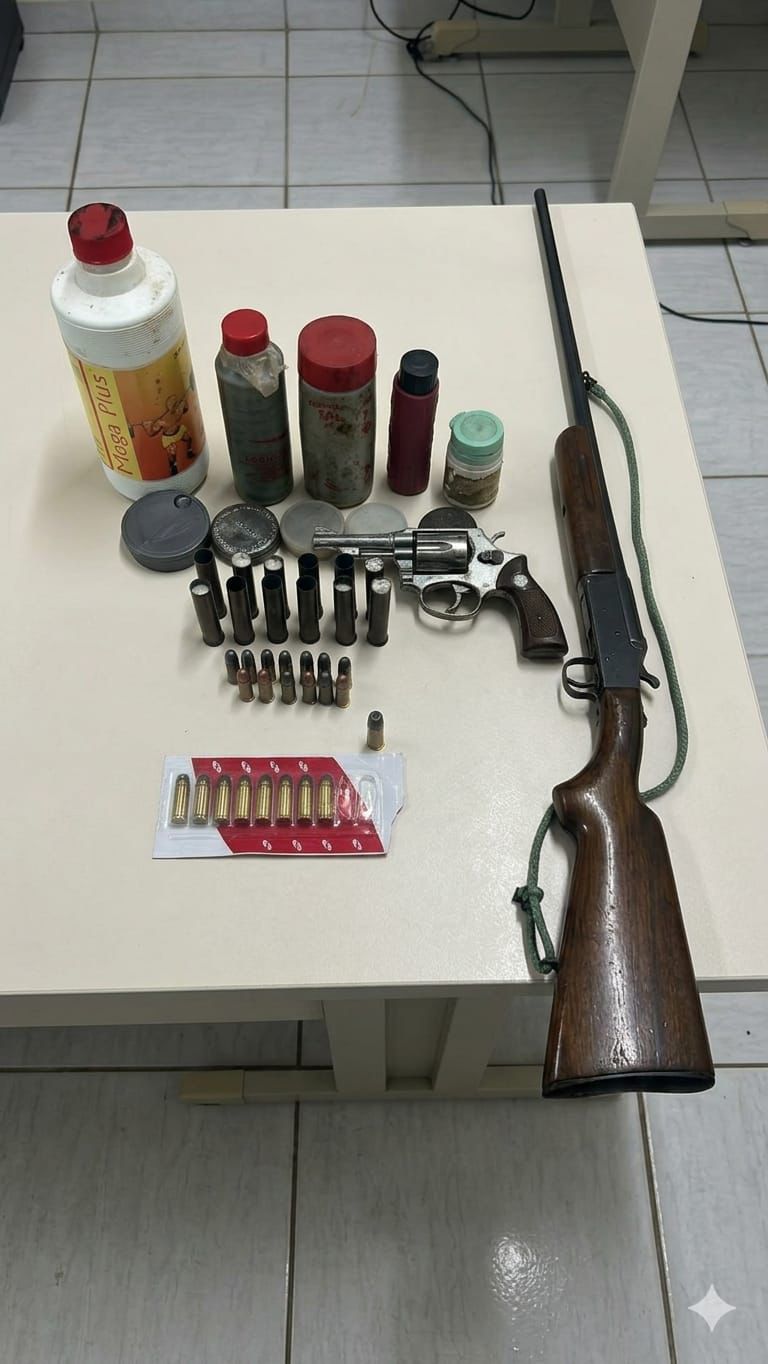 Polícia Civil apreende armas e prende idoso investigado por violência doméstica em São Lourenço do Oeste