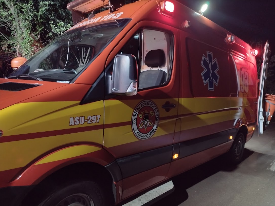 Criança de 4 anos morre após ataque de cachorro em Chapecó