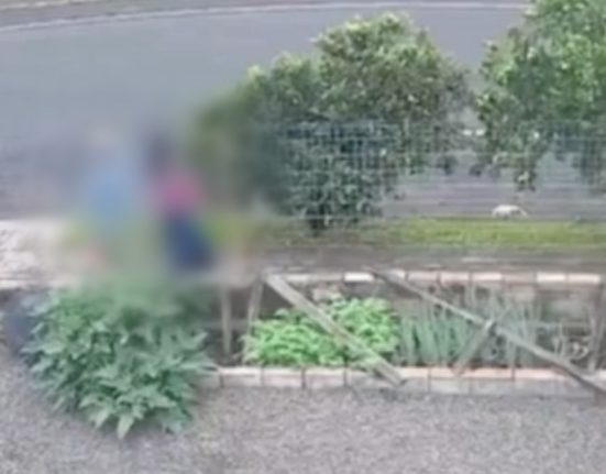Câmera de segurança flagrou o momento do ataque na cidade de Vitorino - Foto ClicRDC e Reprodução ND Mais