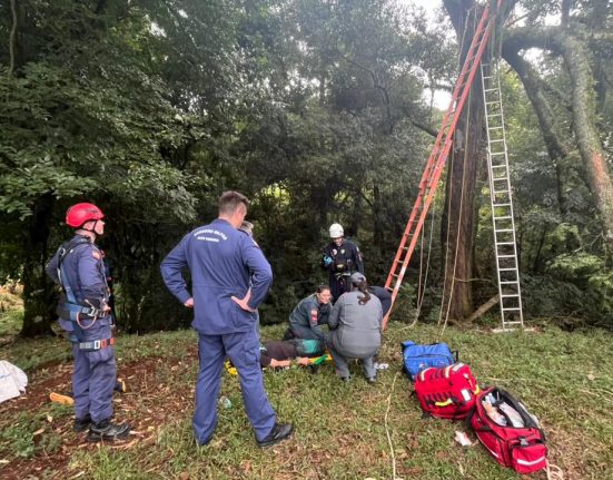 Homem é resgatado após ficar preso a 10 metros de altura em árvore