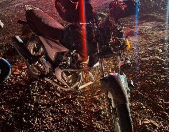 Homem de 32 anos sofreu fratura na mão e escoriações após atingir animal solto na pista - Foto PMRv