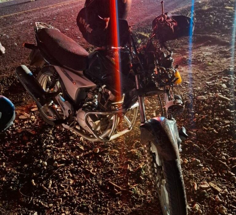 Homem de 32 anos sofreu fratura na mão e escoriações após atingir animal solto na pista - Foto PMRv
