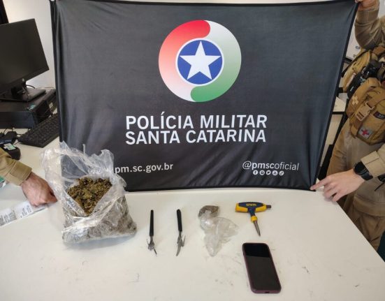 Ocorrência teve início após denúncia de um possível local utilizado para desmanche e armazenamento de motocicletas furtadas - Foto PMSC