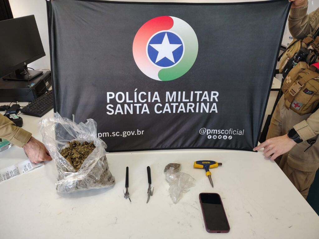 Ocorrência teve início após denúncia de um possível local utilizado para desmanche e armazenamento de motocicletas furtadas - Foto PMSC