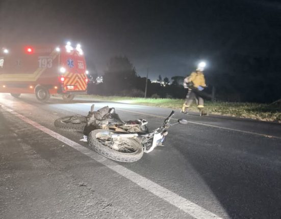 Motociclista fica ferido após colidir com cervo na BR-282 em Ponte Serrada