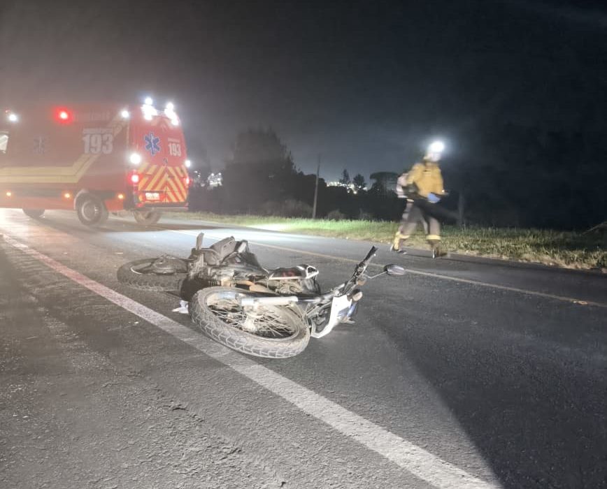 Motociclista fica ferido após colidir com cervo na BR-282 em Ponte Serrada