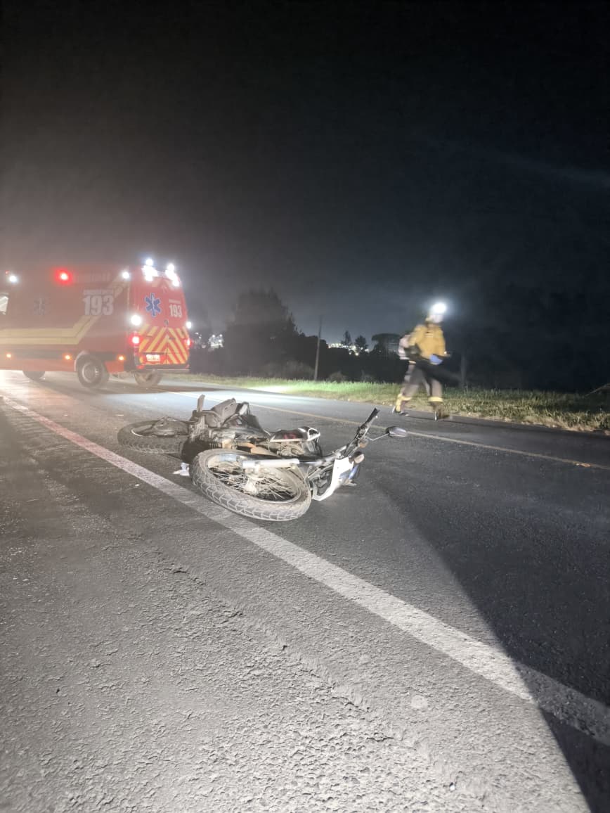 Motociclista fica ferido após colidir com cervo na BR-282 em Ponte Serrada