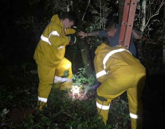 Bombeiros resgatam cachorro que caiu em poço de quatro metros