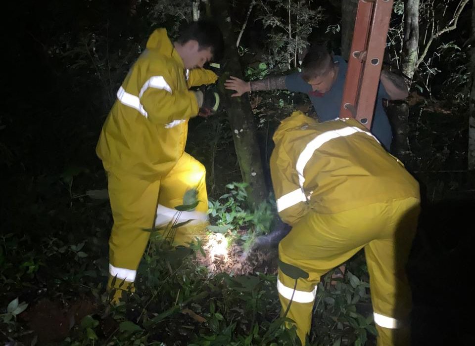 Bombeiros resgatam cachorro que caiu em poço de quatro metros