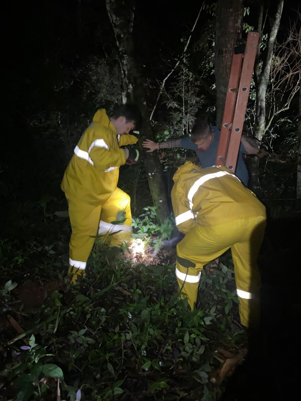 Bombeiros resgatam cachorro que caiu em poço de quatro metros