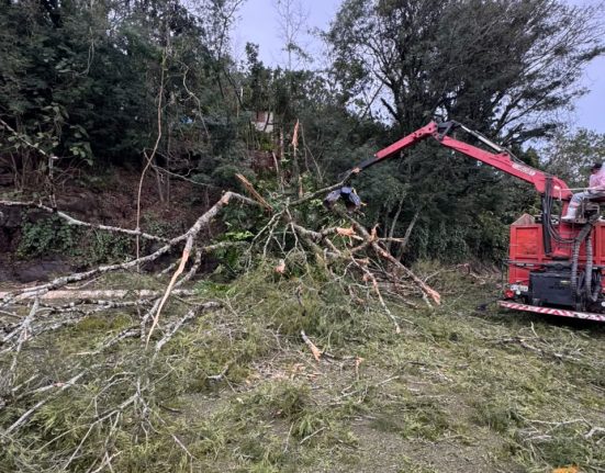 Árvore cai sobre rodovia e mobiliza bombeiros na SC-283 em Seara