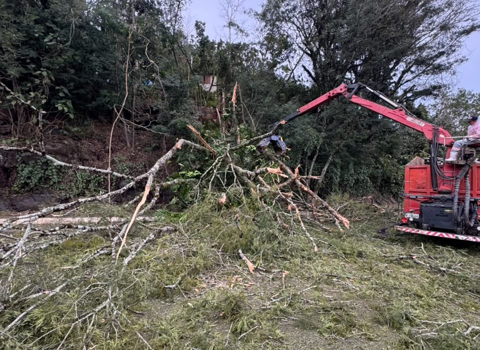 Árvore cai sobre rodovia e mobiliza bombeiros na SC-283 em Seara