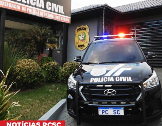 Polícia Civil prende suspeito investigado por série de furtos em Faxinal dos Guedes