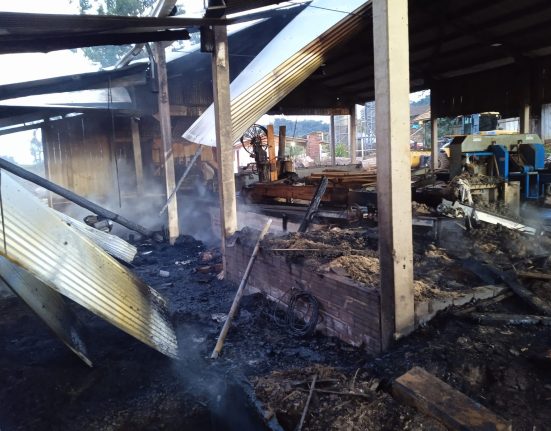 Fogo atingiu madeireira na manhã deste sábado - Fotos Corpo de Bombeiros