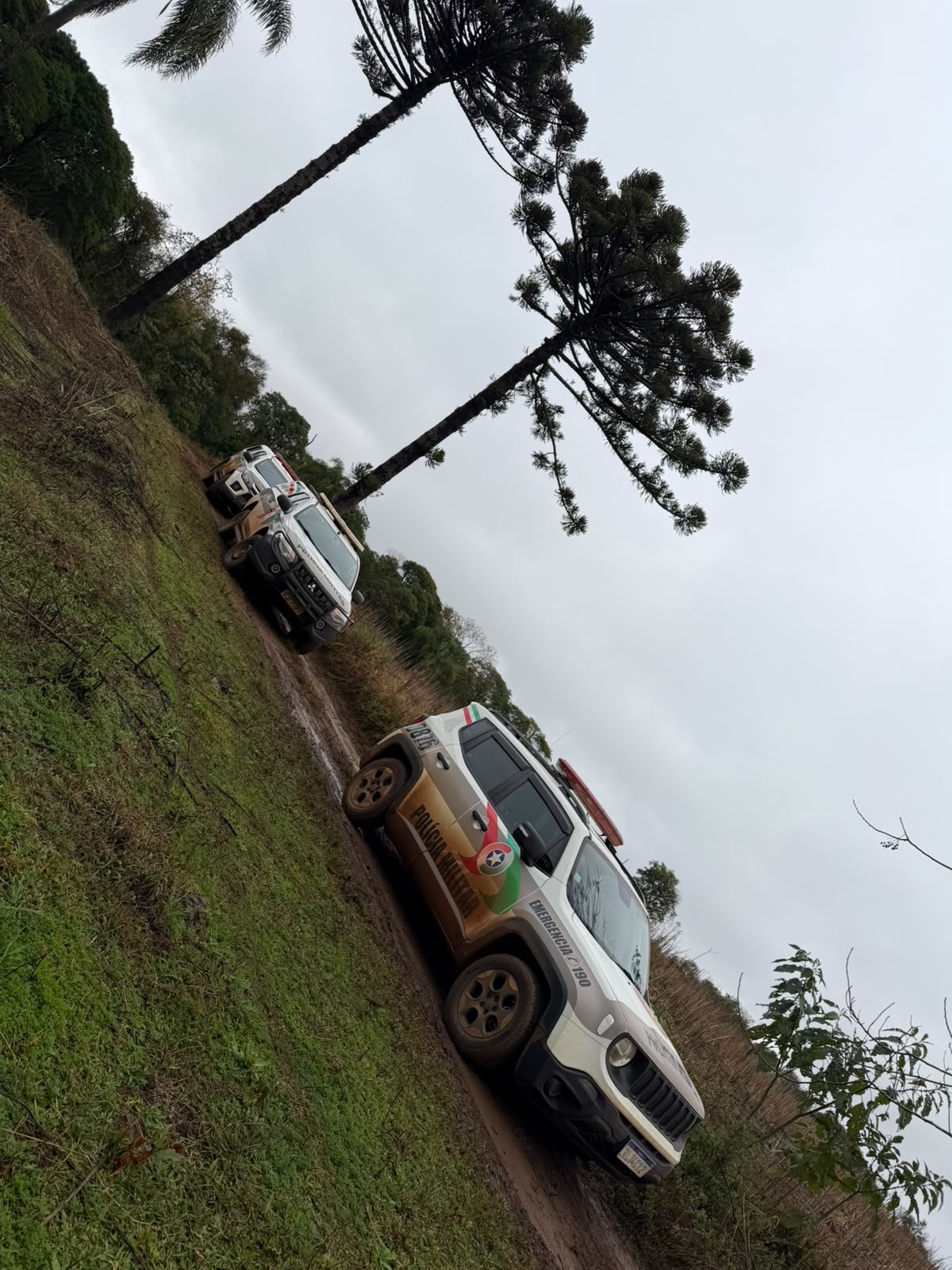 Disparos de arma de fogo e ameaças em aldeia indígena de Ipuaçu mobilizam Polícia Militar